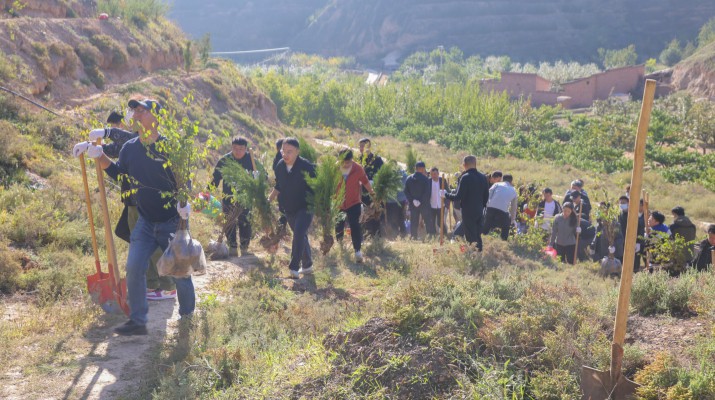 履行省属企业责任 厚植南北两山绿色——甘肃文旅集团开展秋季义务植树活动